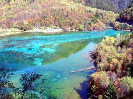 Trumpet Shell Valley(Hailuogou)